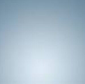 Prof. S. Bogoro, OON